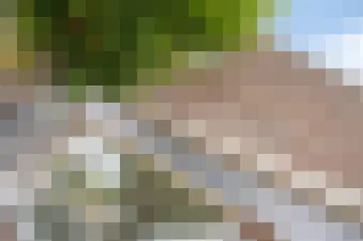 Boulevard 14 Grevenbicht foto 2