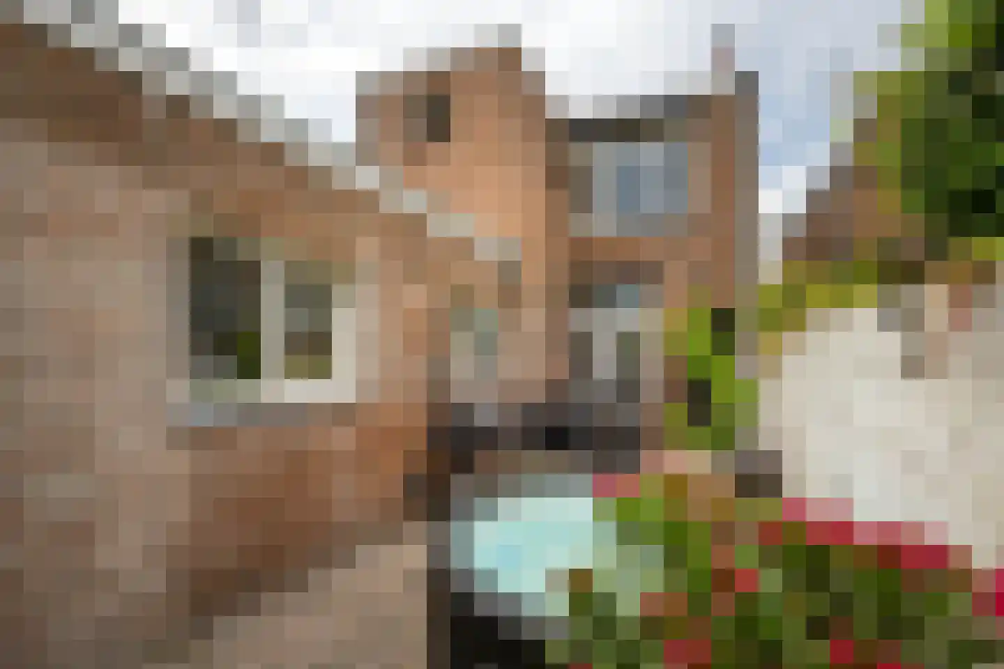 Boulevard 149 Roosendaal thumbnail 27