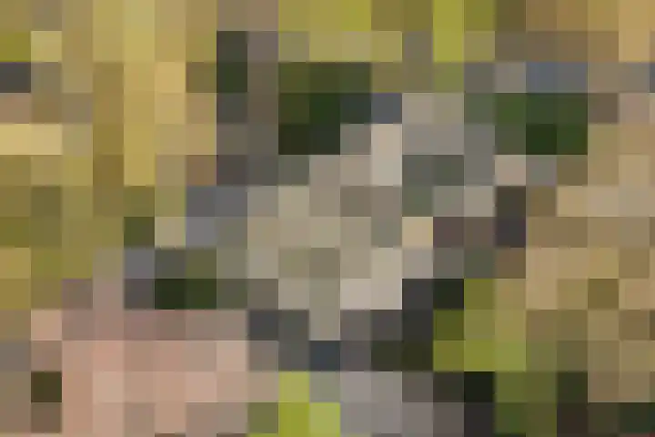 Boulevard 15 Zeist thumbnail 118
