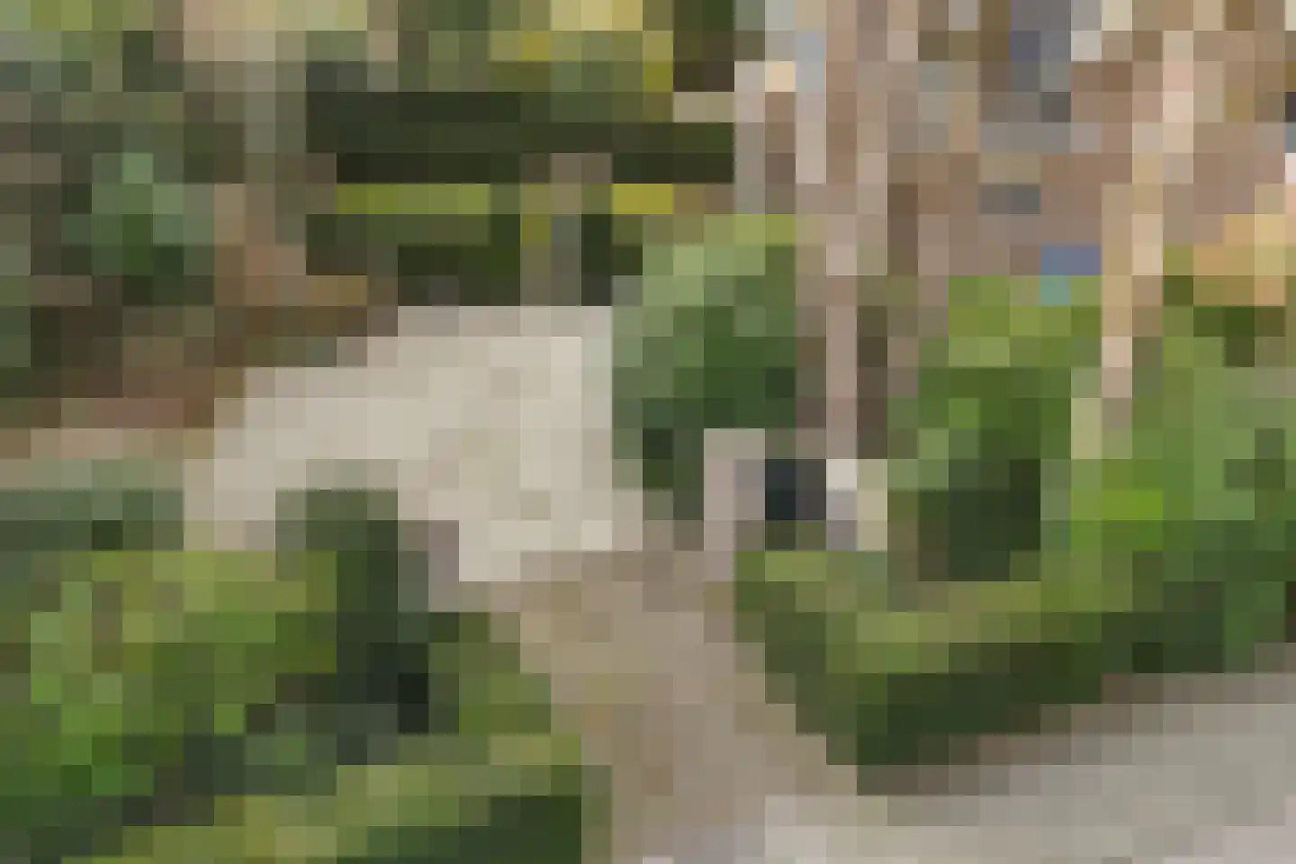 Boulevard 15 Zeist thumbnail 119