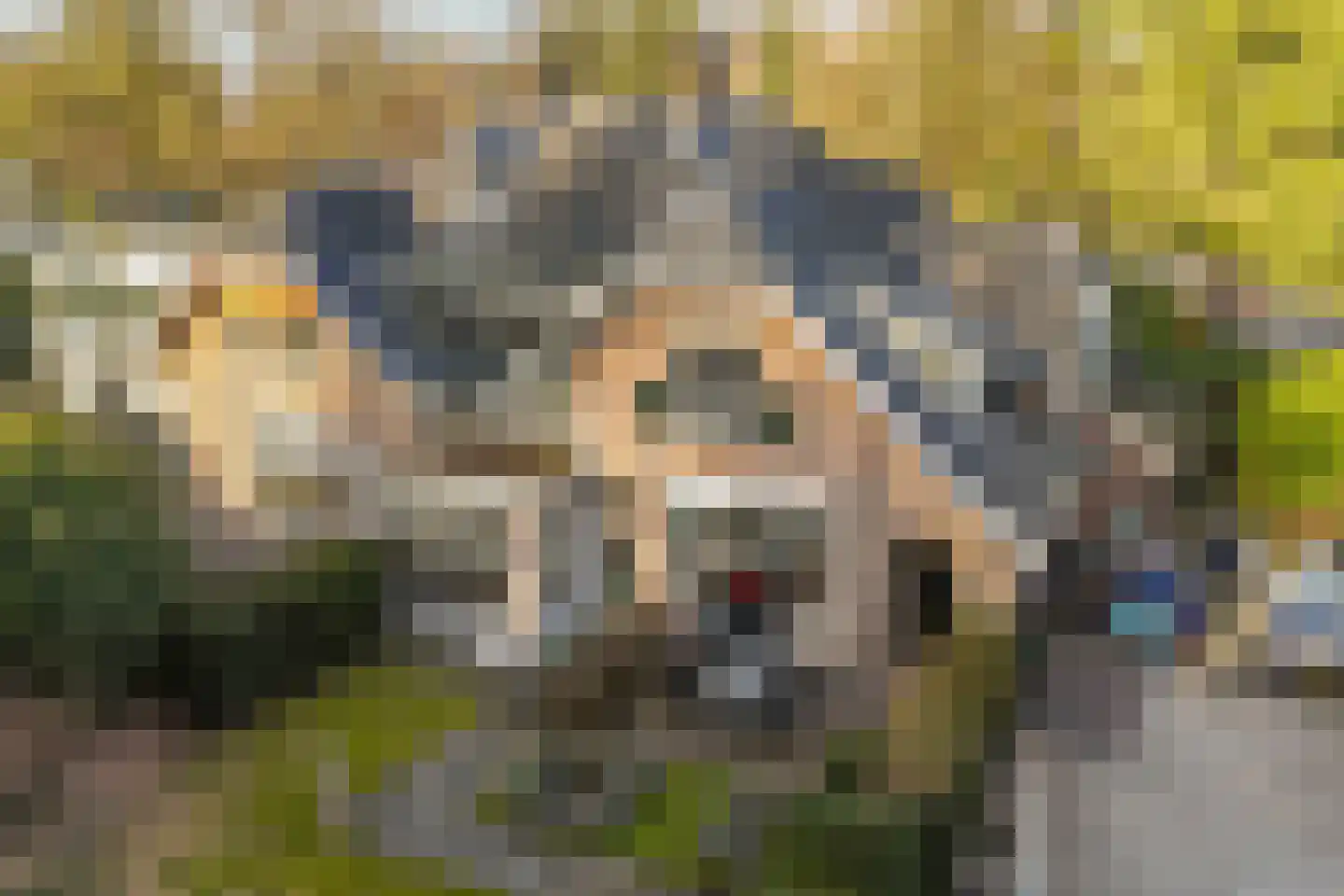 Boulevard 15 Zeist thumbnail 123