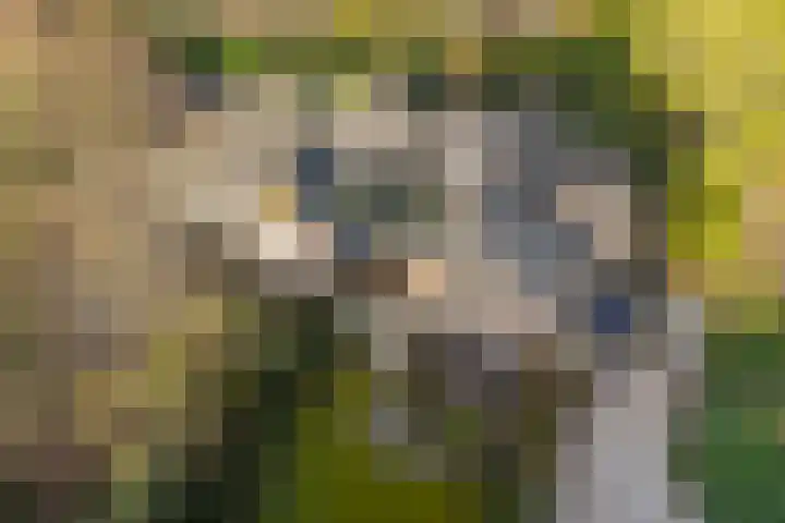 Boulevard 15 Zeist thumbnail 4