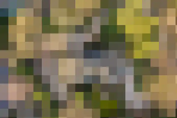 Boulevard 15 Zeist thumbnail 69