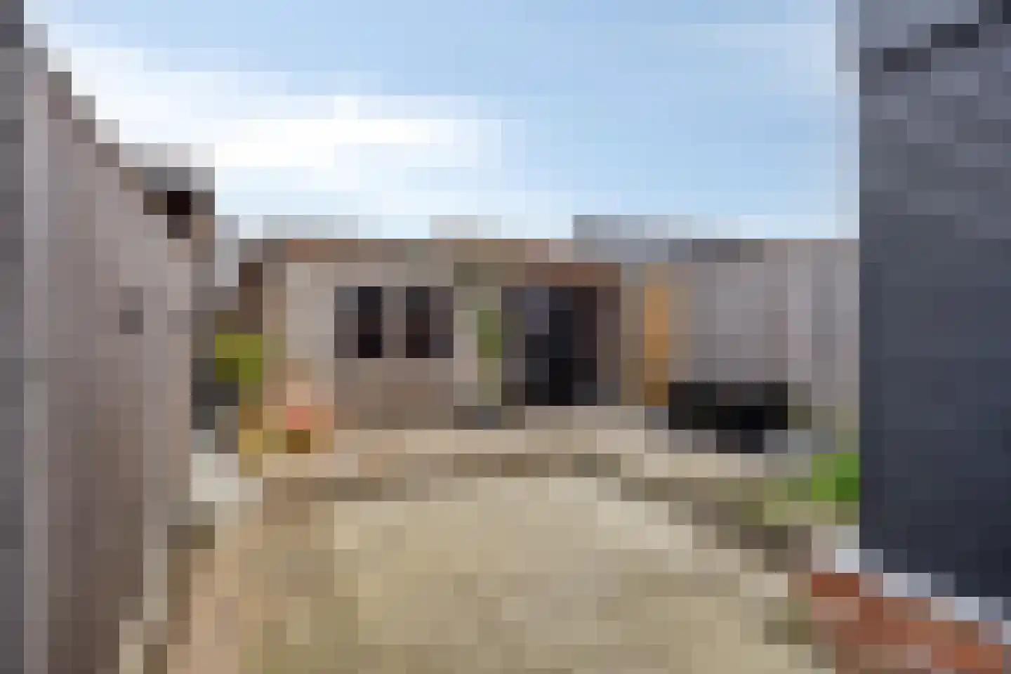 Boulevard 17 IJzendijke thumbnail 20