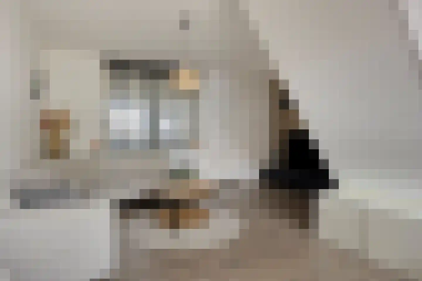 Boulevard 17 IJzendijke thumbnail 4