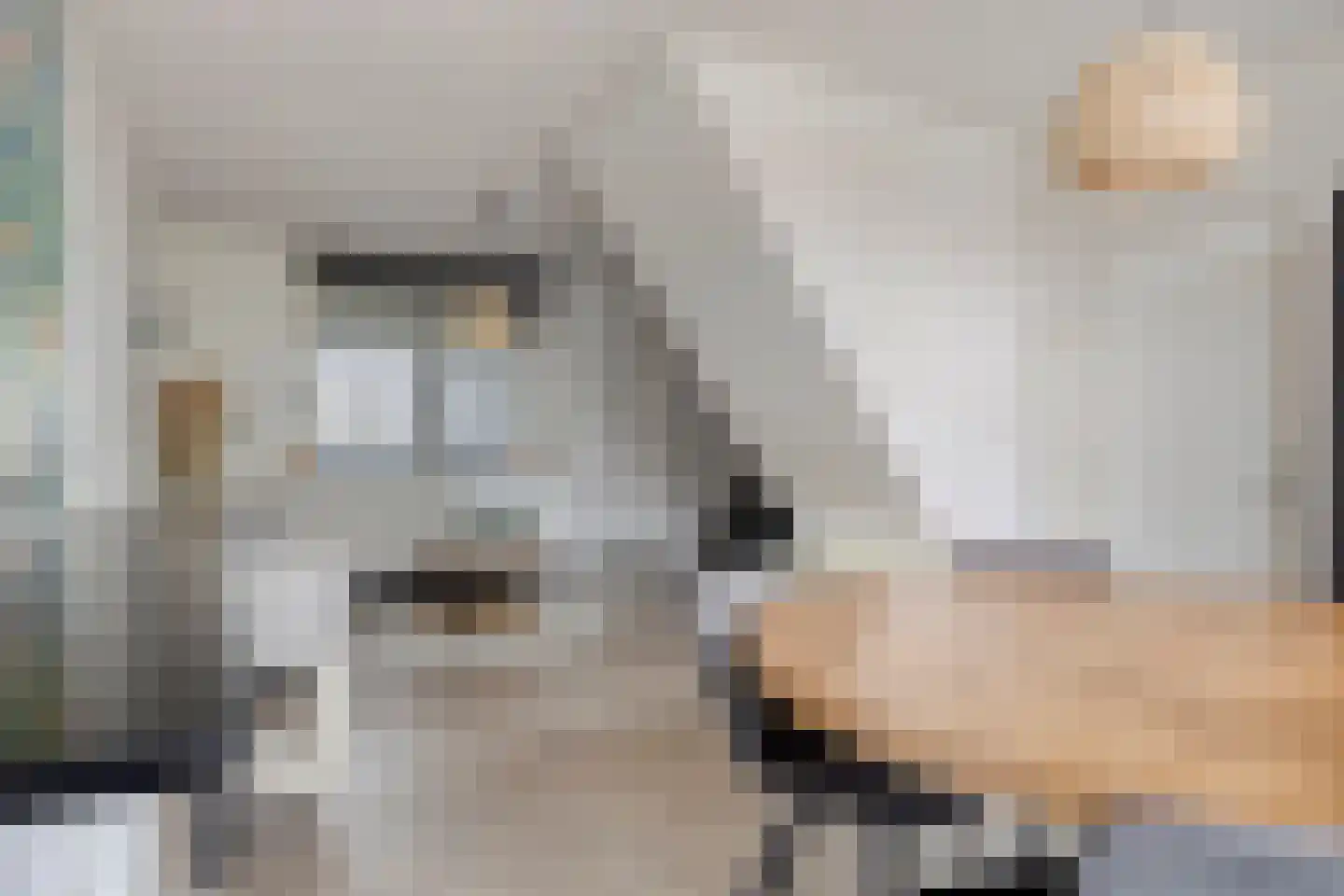 Boulevard 17 IJzendijke thumbnail 7