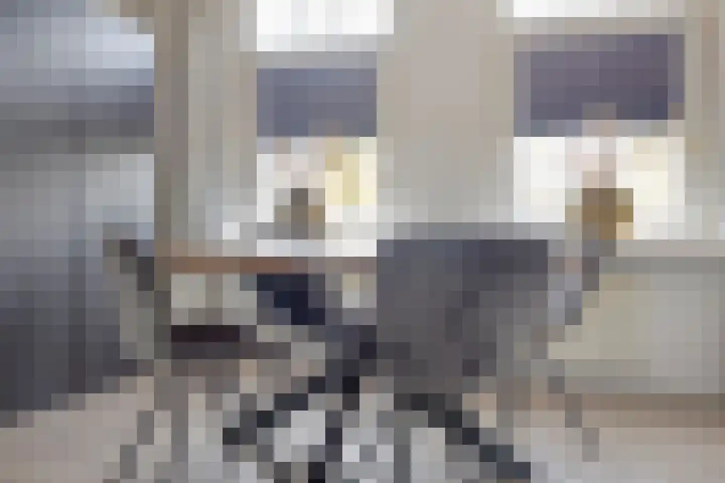 Boulevard 17 IJzendijke thumbnail 8