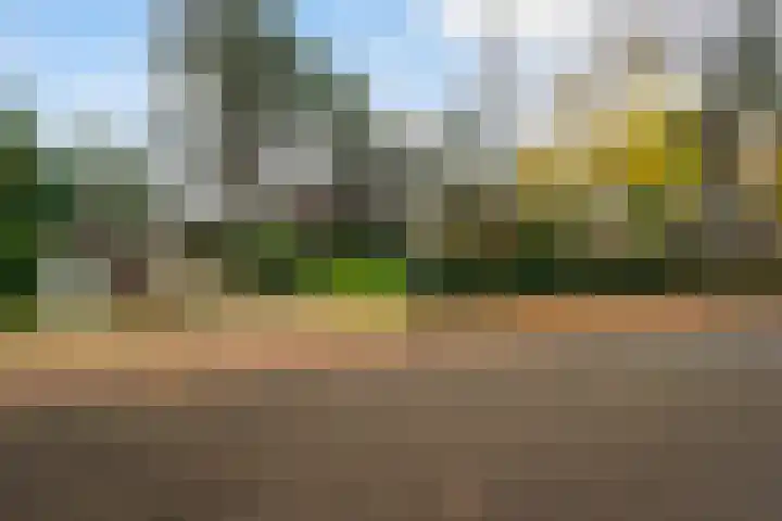 Boulevard 22 1 Zeist thumbnail 38