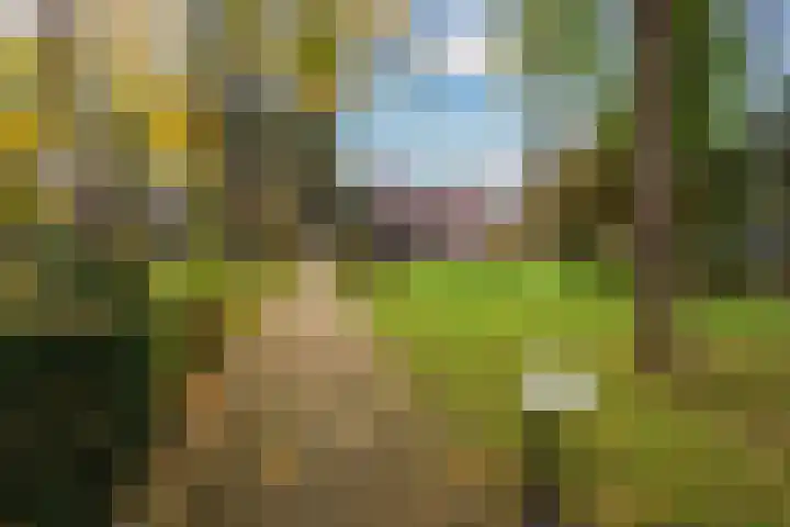 Boulevard 22 1 Zeist thumbnail 42