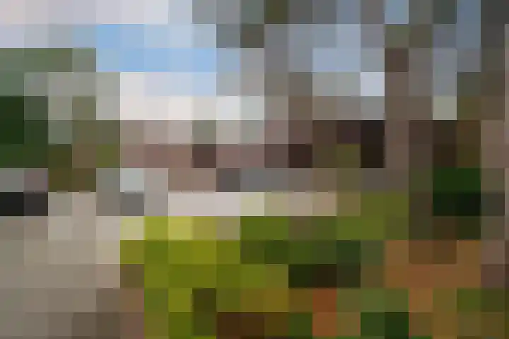 Boulevard 22 1 Zeist thumbnail 44