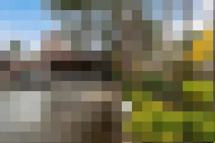 Boulevard 22 1 Zeist thumbnail 6