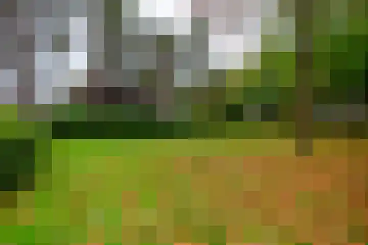 Boulevard 22 2 Zeist thumbnail 29