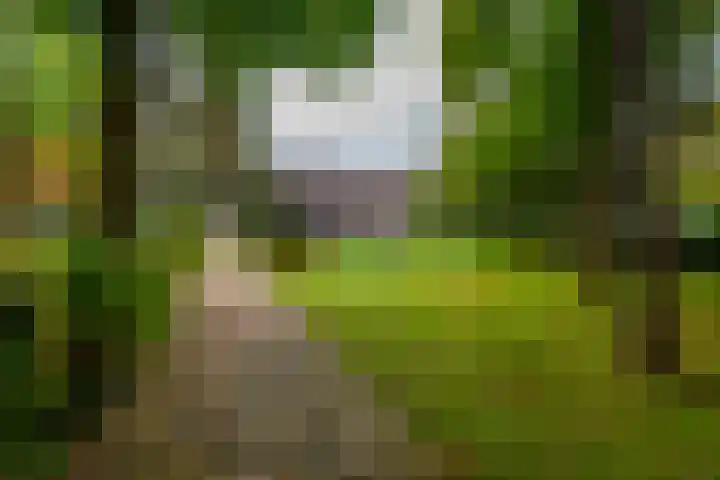 Boulevard 22 2 Zeist thumbnail 30