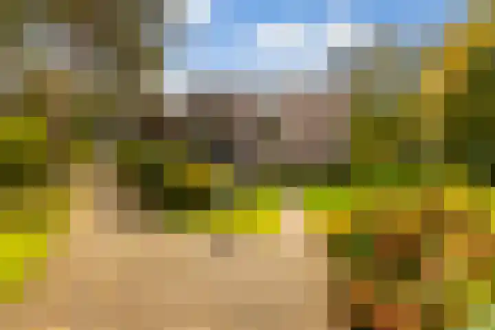 Boulevard 22 2 Zeist thumbnail 4