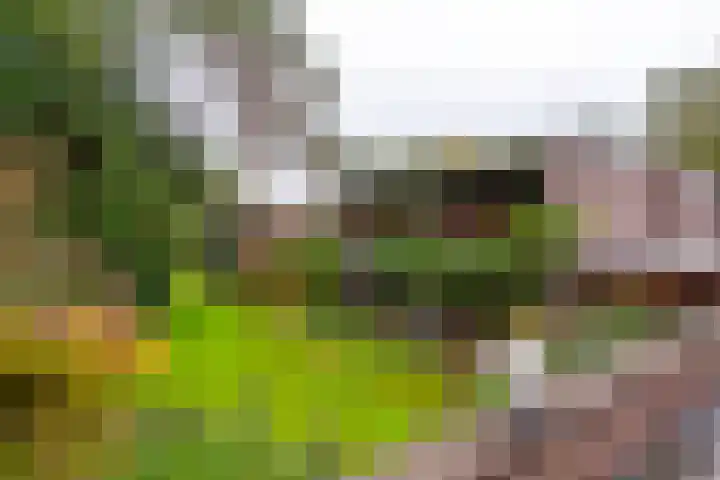 Boulevard 22 2 Zeist thumbnail 5