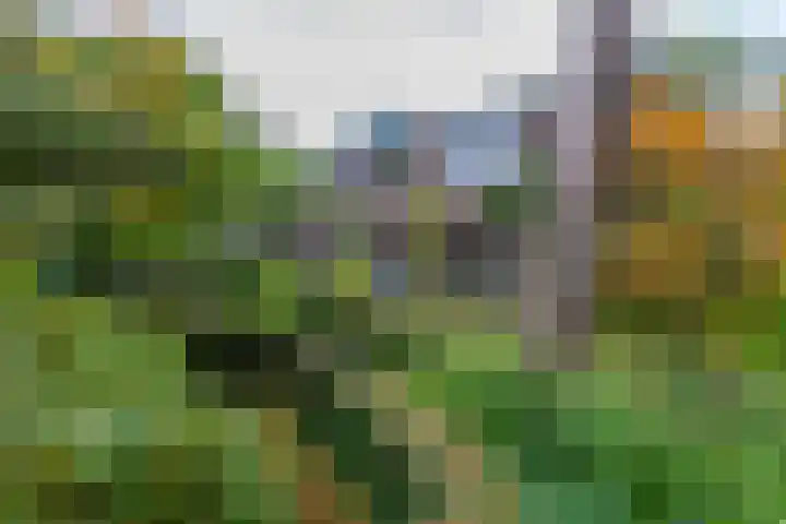 Boulevard 22 2 Zeist thumbnail 6