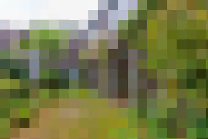 Boulevard 22 2 Zeist thumbnail 8