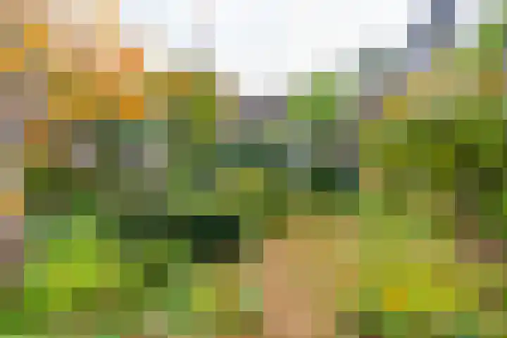 Boulevard 22 2 Zeist thumbnail 9