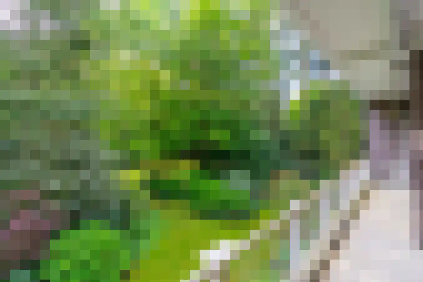 Boulevard 22 8 Zeist thumbnail 15
