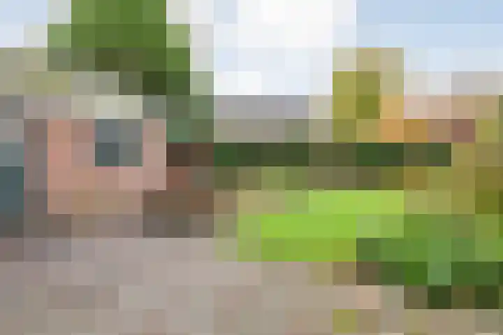Boulevard 23 a Velp thumbnail 30