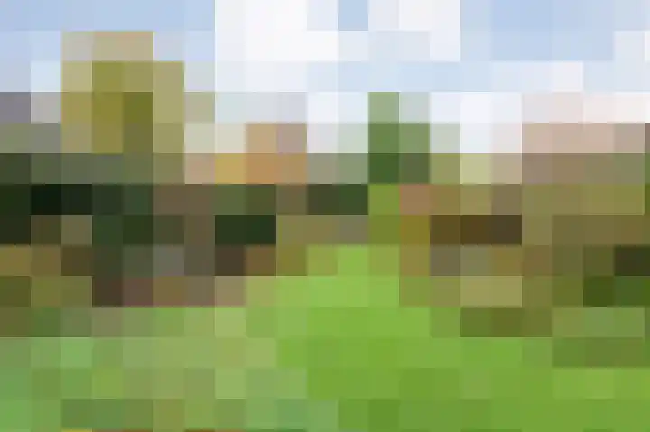 Boulevard 23 a Velp thumbnail 31