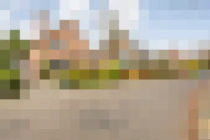 Boulevard 23 a Velp thumbnail 36