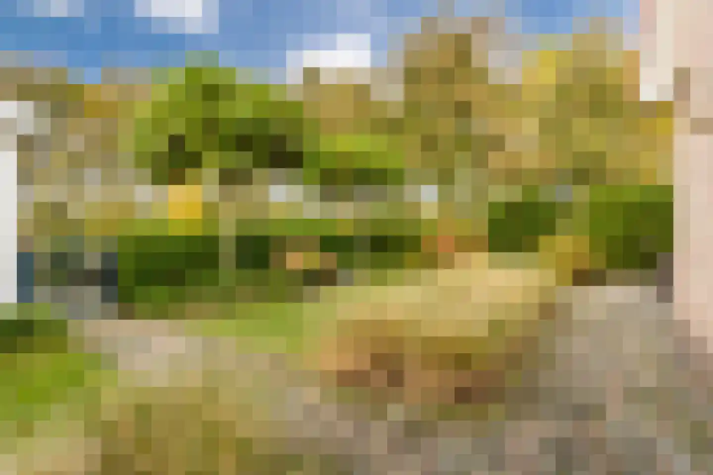 Boulevard 23 a Velp thumbnail 41