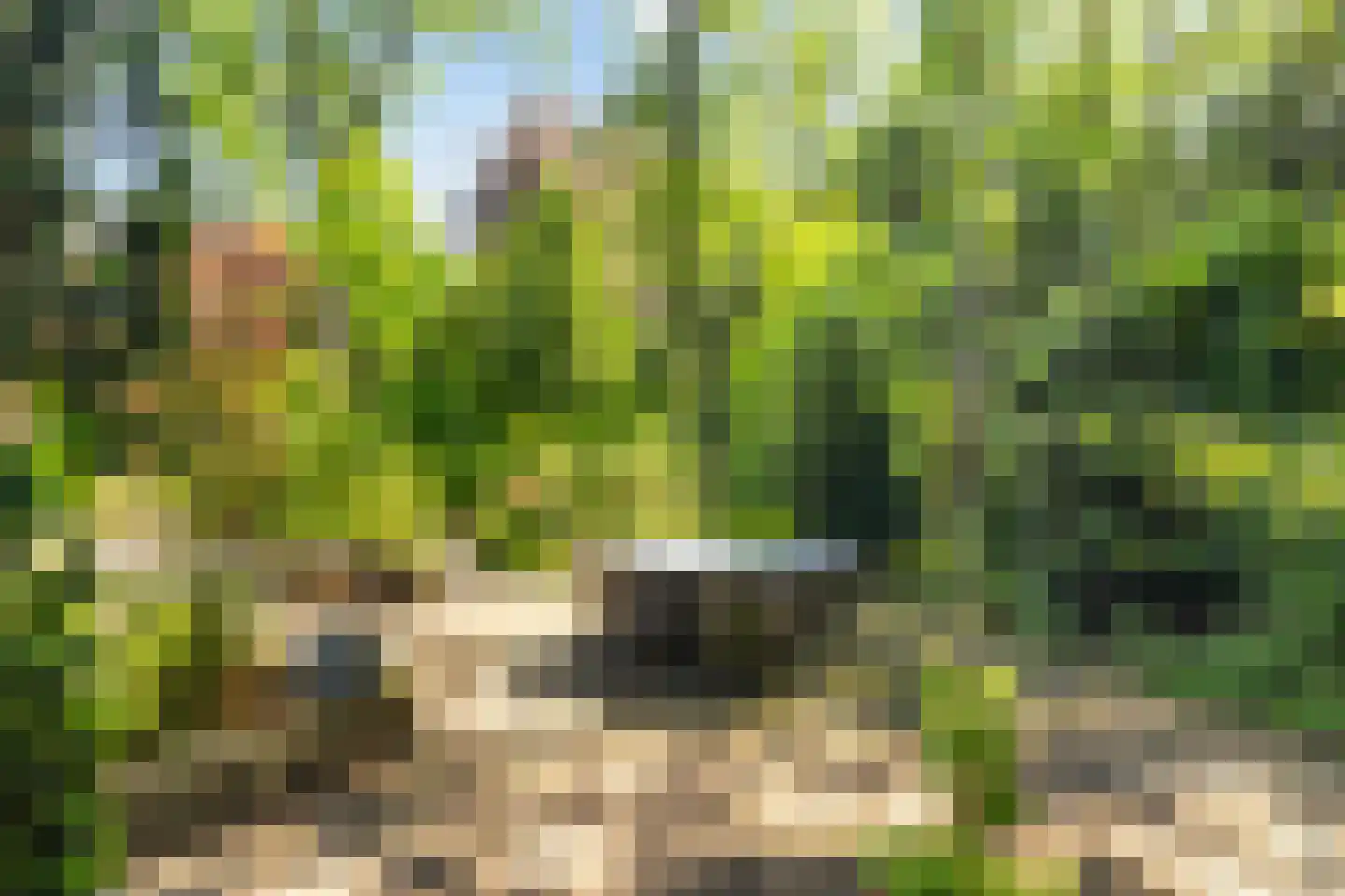 Boulevard 25 Zeist thumbnail 4