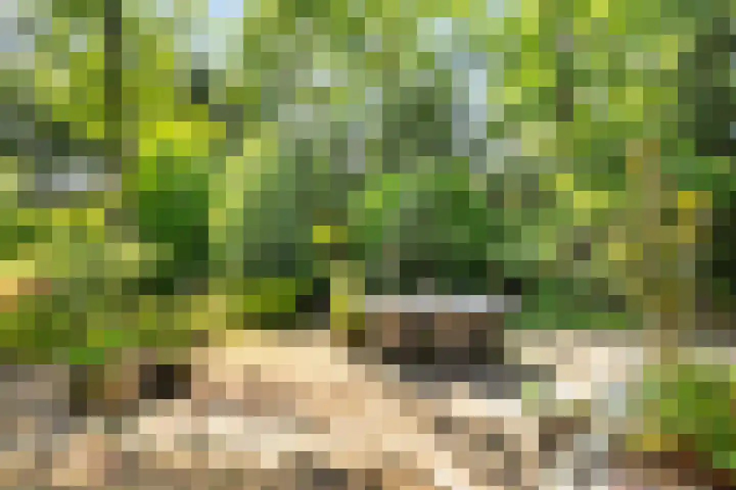 Boulevard 25 Zeist thumbnail 46