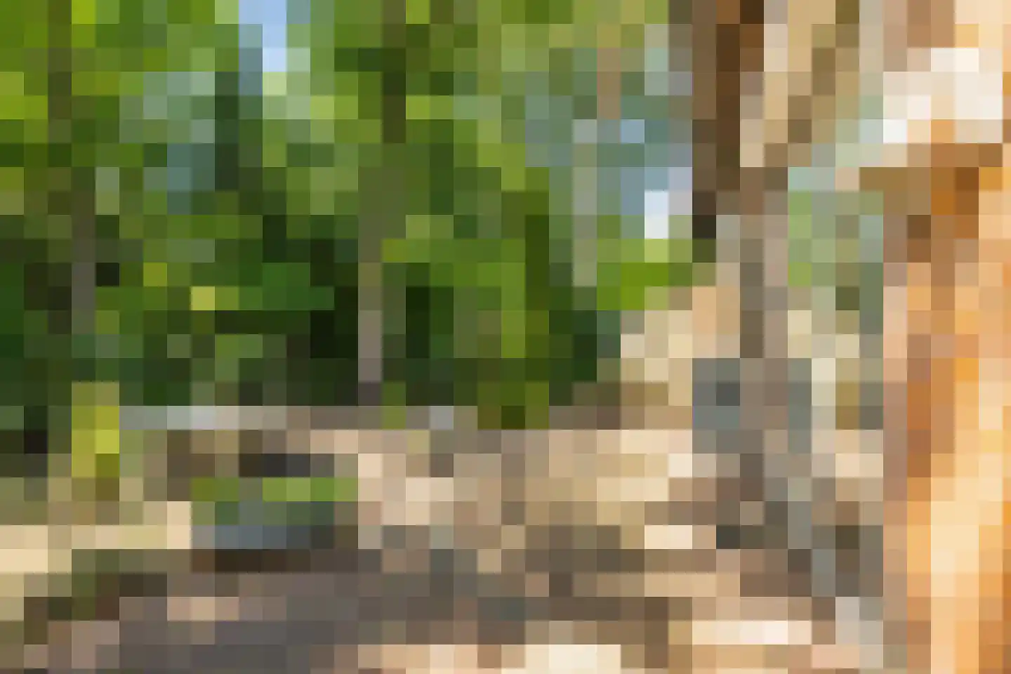 Boulevard 25 Zeist thumbnail 47
