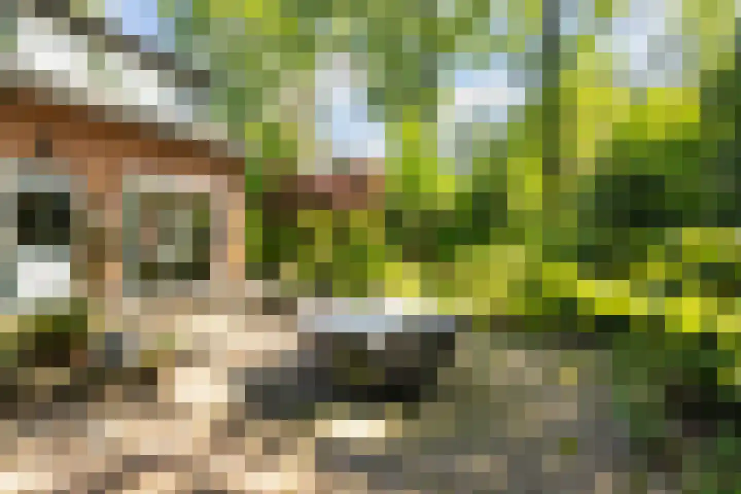 Boulevard 25 Zeist thumbnail 49