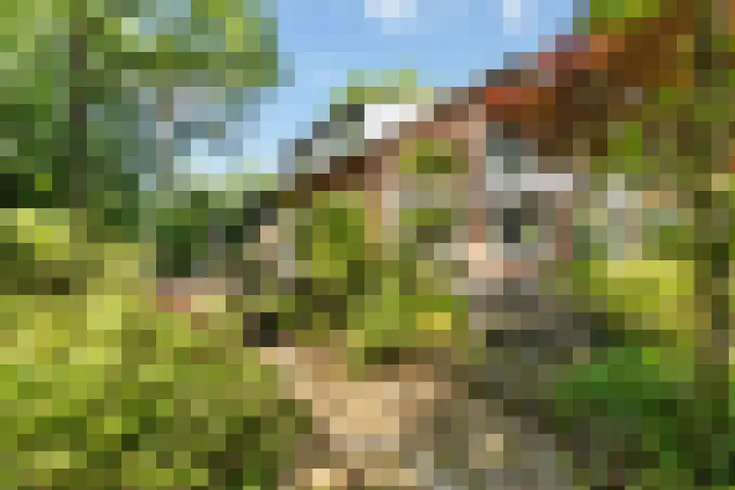Boulevard 25 Zeist thumbnail 52