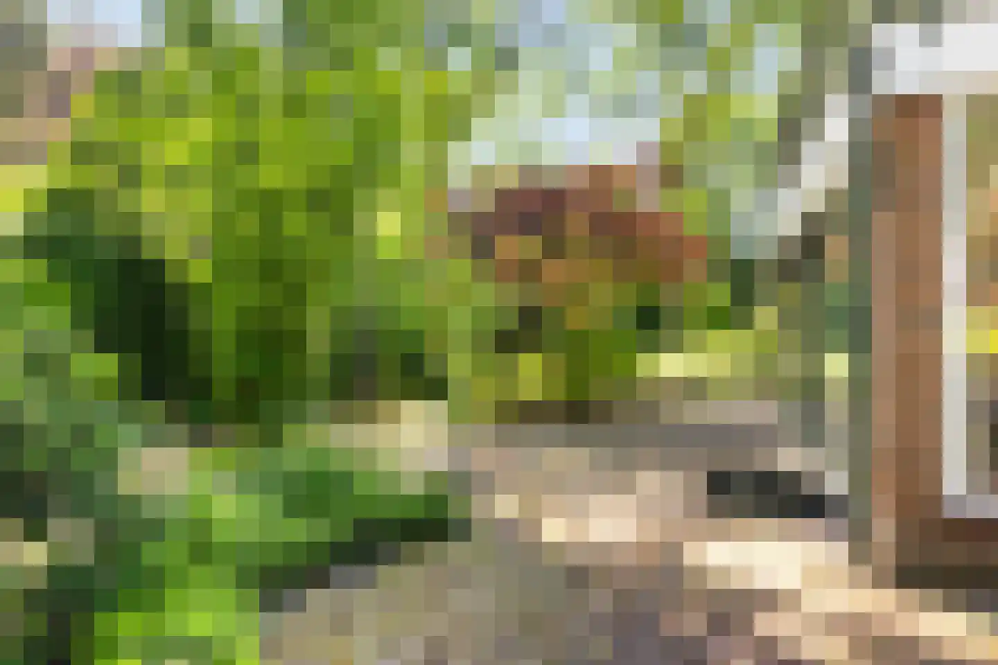 Boulevard 25 Zeist thumbnail 54