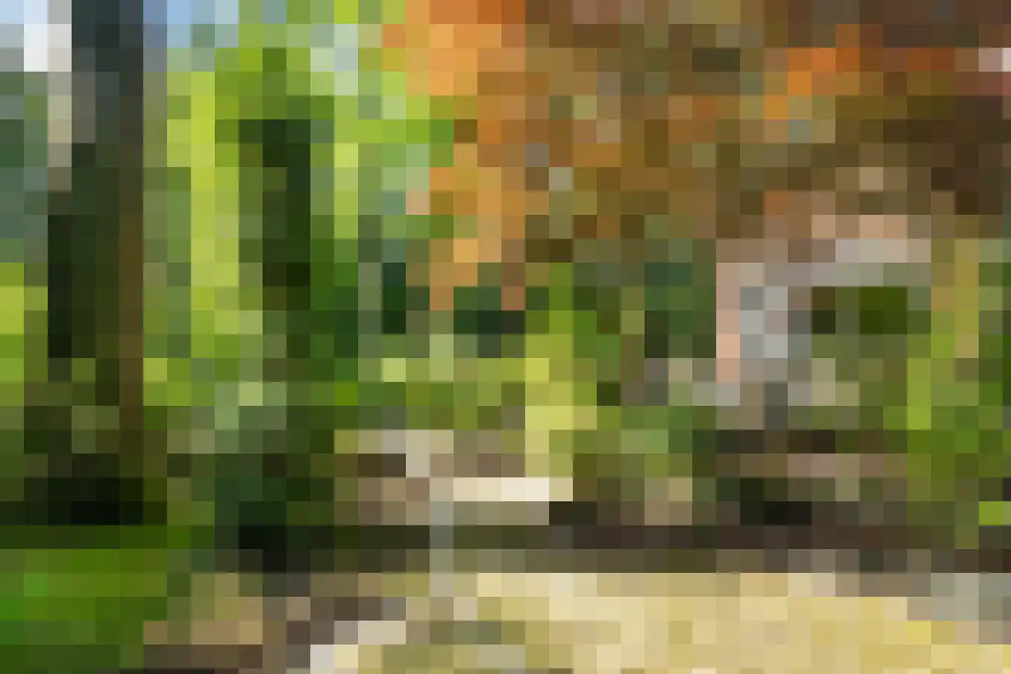 Boulevard 25 Zeist thumbnail 55