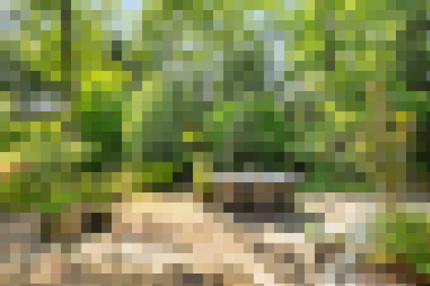Boulevard 25 Zeist thumbnail 56