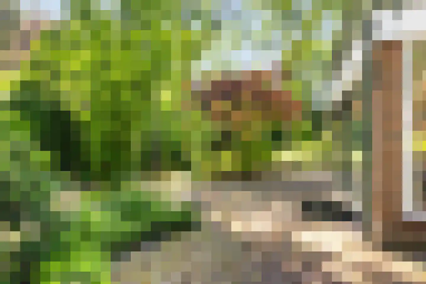Boulevard 25 Zeist thumbnail 64