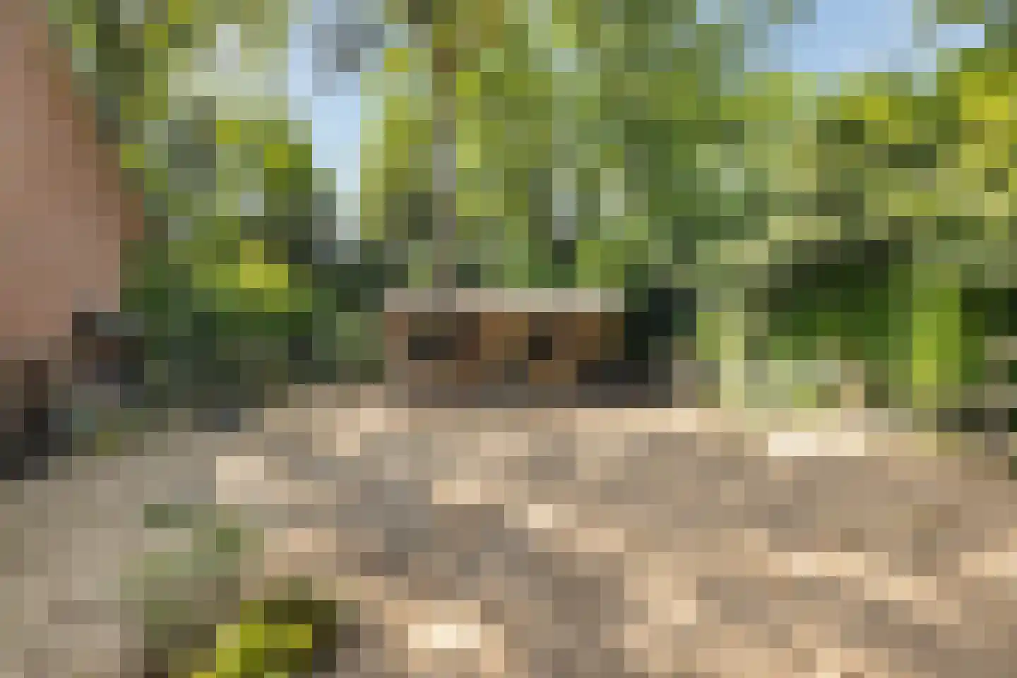 Boulevard 25 Zeist thumbnail 66