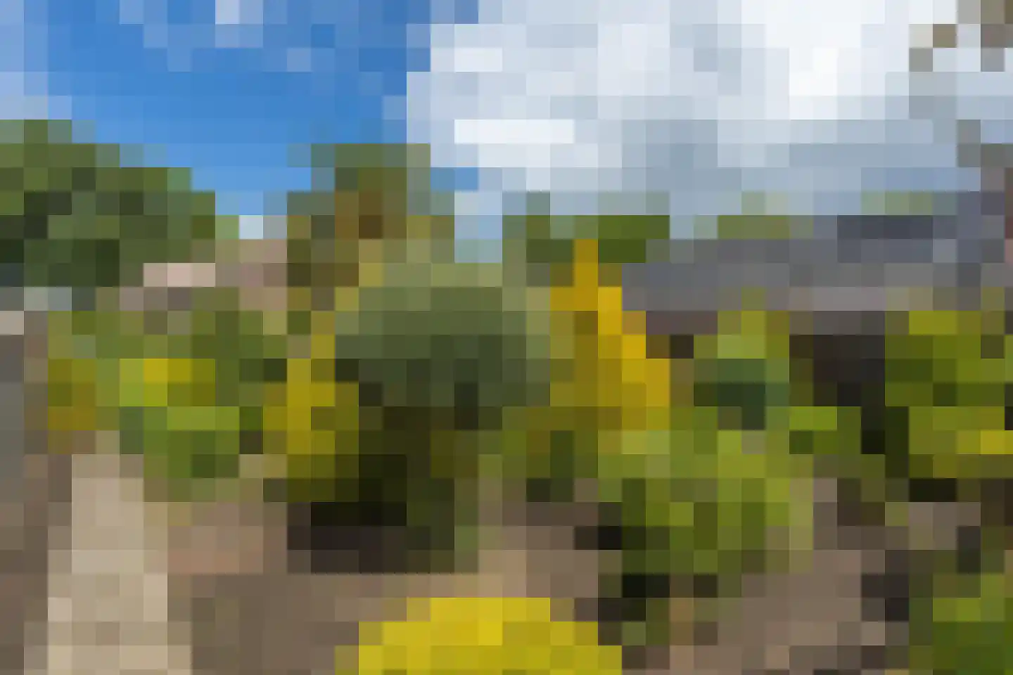 Boulevard 31 Grevenbicht thumbnail 41