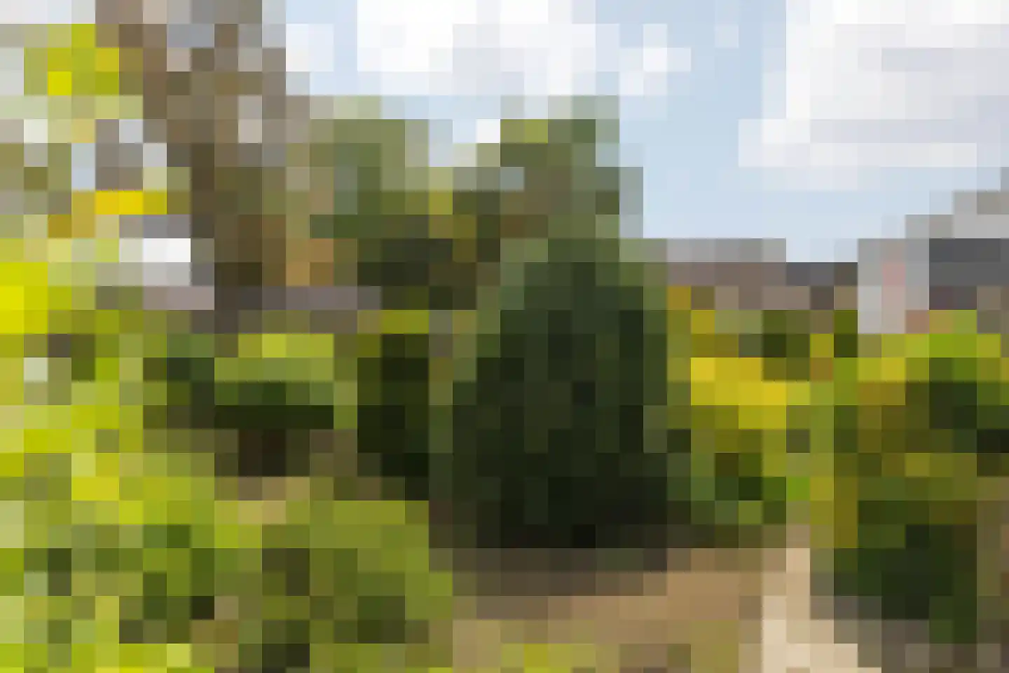 Boulevard 31 Grevenbicht thumbnail 42
