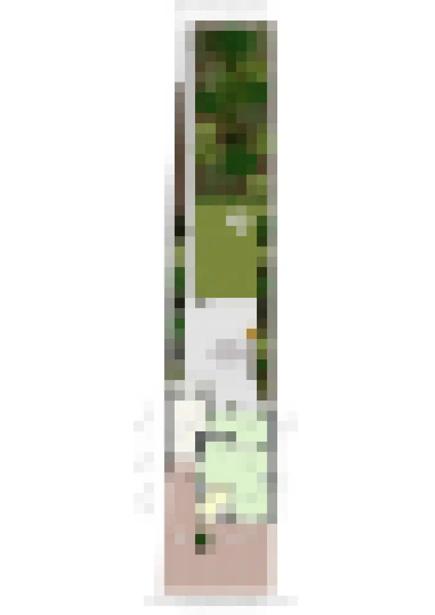 Boulevard 31 Grevenbicht thumbnail 47