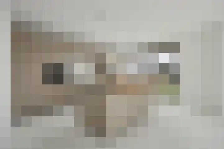 Boulevard 34 Sint-Annaland thumbnail 11