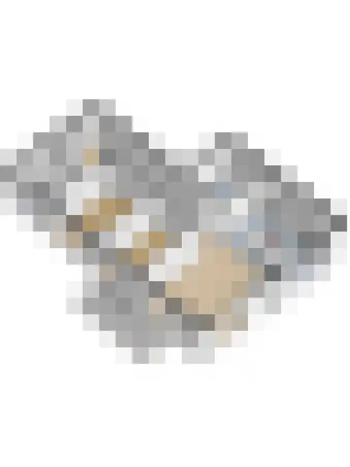 Boulevard 34 Sint-Annaland thumbnail 35