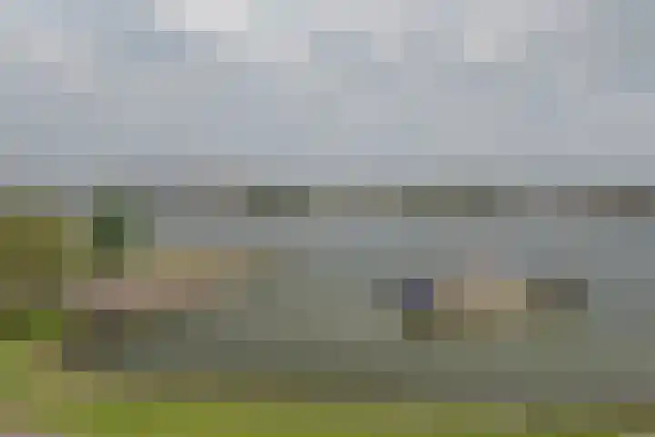 Boulevard 37 Rozenburg thumbnail 21