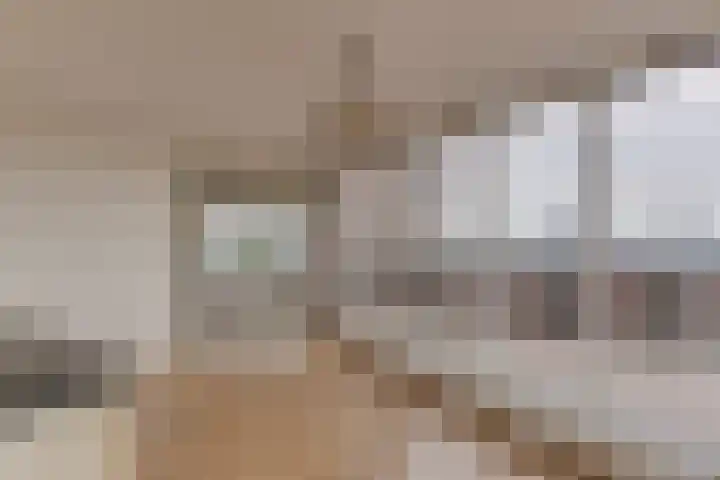 Boulevard 37 Rozenburg thumbnail 25