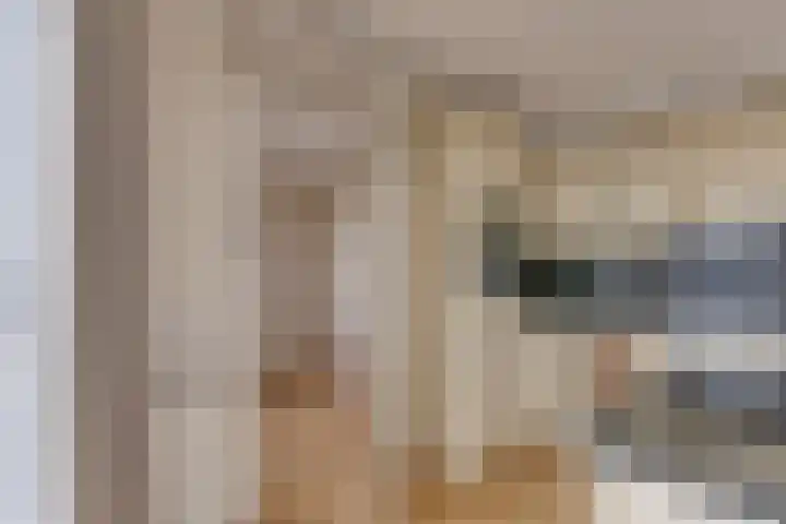 Boulevard 37 Rozenburg thumbnail 27