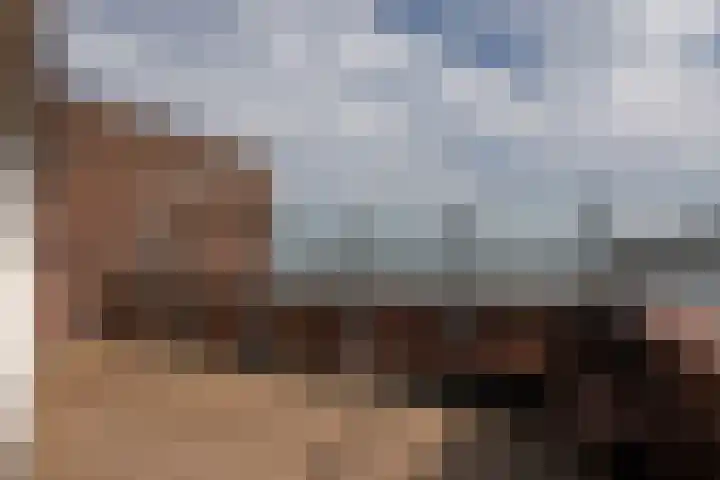 Boulevard 37 Rozenburg thumbnail 38