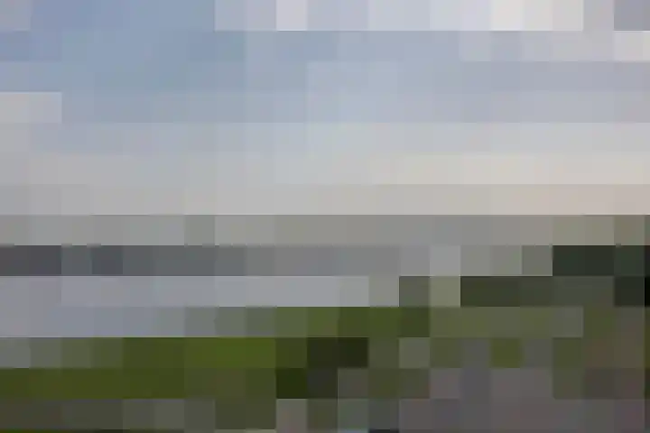 Boulevard 37 Rozenburg thumbnail 40