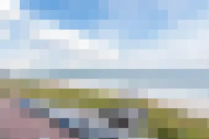 Boulevard 4 D Egmond aan Zee thumbnail 29