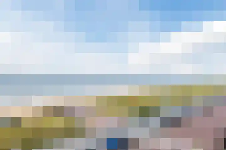 Boulevard 4 D Egmond aan Zee thumbnail 30