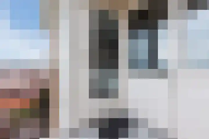 Boulevard 4 D Egmond aan Zee thumbnail 46